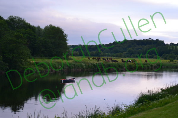 Enniscorthy River