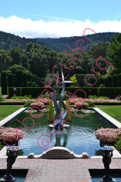 Gardens at Filoli